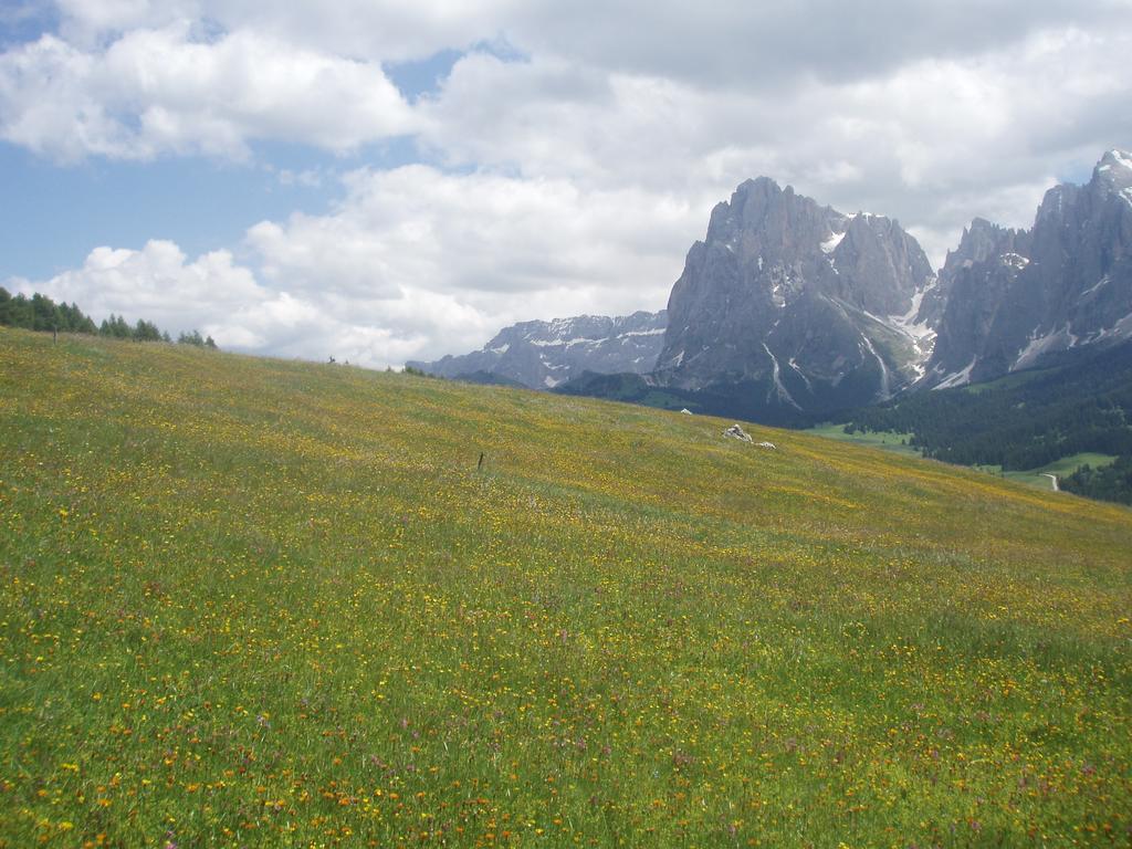 Garni La Majon Selva di Val Gardena Exterior foto