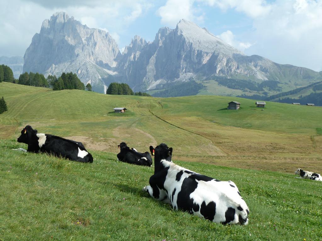 Garni La Majon Selva di Val Gardena Exterior foto
